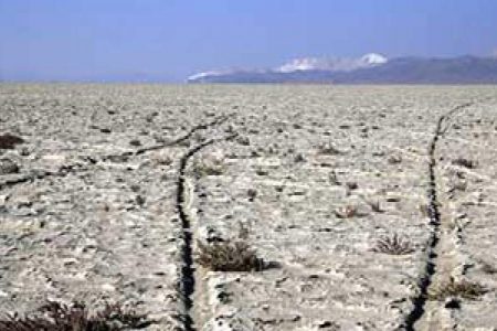 بختگانِ خشک، ایرانِ خشک، عاقبت خشک