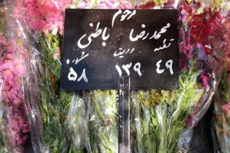 پیکر محمدرضا باطنی به خاک سپرده شد