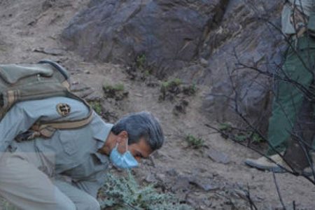 دست و پا شکسته از طبیعت محافظت می‌کنند