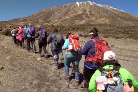 برندگان جشنواره فیلم بنتونویل معرفی شدند