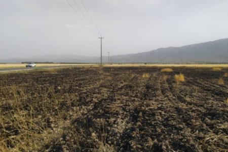 کشاورزان فارس خطر آتش‌ سوزی را جدی بگیرند