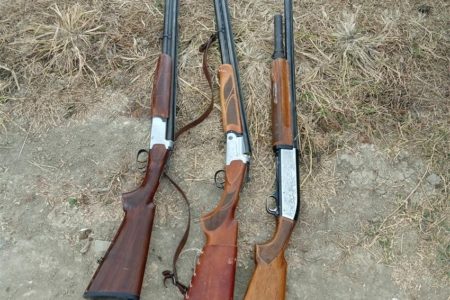 دستگیری ۳ شکارچی پرندگان وحشی در شهرستان مرودشت