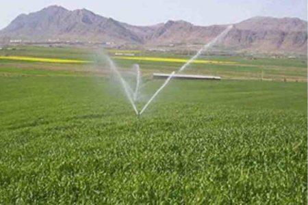 افزایش سطح زیر کشت پاییزه در خوزستان