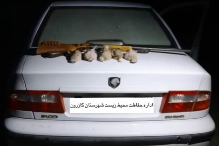 دستگیری متخلف شکار در مناطق شهرستان کازرون
