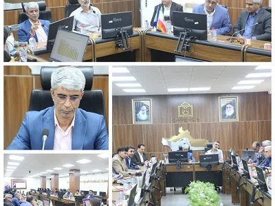 تدوین برنامه جامع پیشگیری از سقط جهت شناسایی موارد سقط، مداخله و پیشگیری از آن