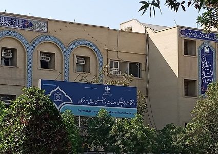 امنیت و استقلال در کشور، نتیجه حضور در صحنه انتخابات است