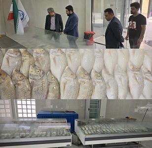 عرضه مستقیم ماهی در راستای تنظیم بازار در غرفه اتحادیه تعاونی های صیادی هرمزگان