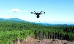 ضرورت استفاده از هوش مصنوعی و پهبادها برای حفاظت از جنگل‌های کشور