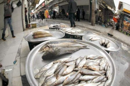 قیمت انواع ماهی ۱۰ اردیبهشت ۱۴۰۳/جدول