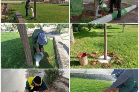 آغاز عملیات مبارزه با بیماری فوزاریوم درختان اقاقیا در شهر کرمانشاه برای دومین سال پیاپی