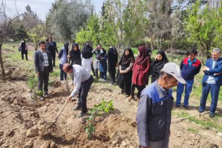 برگزاری برنامه کاشت نهال در خانه محیط زیست پژوهشکده معلم شیراز