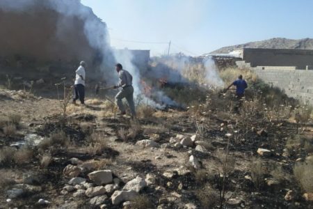 واکنش سریع محیط‌بان پارک ملی بمو برای پایش آتش سوزی ارتفاعات مشرف به روستای بردج 