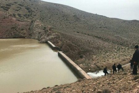 بیشتر طرح‌های مقابله با گرد و غبار خوزستان، از حالت درختکاری مستقیم خارج شدند