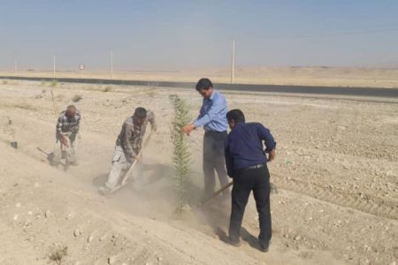 کاشت ۲ هزار و ۵۰۰ اصله نهال جنگلی در شهرستان فسا