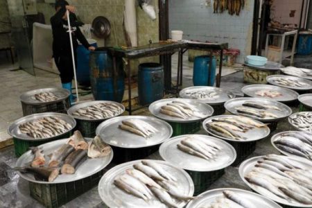 قیمت انواع ماهی ۵ اردیبهشت ۱۴۰۳/جدول