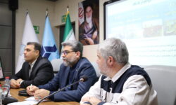 بازدید معاون وزیر صمت از ایزوایکو؛ تاکید بر تامین مالی و ارتقاء صنعت دریایی کشور