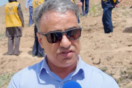 توزیع و کاشت بیش از ۱۱۰ هزار نهال در قالب پویش «سرو ایران» در استان مرکزی   