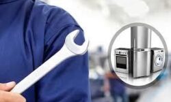 پژوهش از مؤلفه‌های اصلی پیشرفت و توسعه است