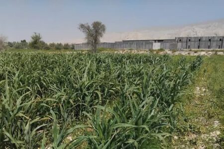 پیگیری توسعه زیرساخت‌های پردیس تحقیقات و آموزش لوبیای خمین