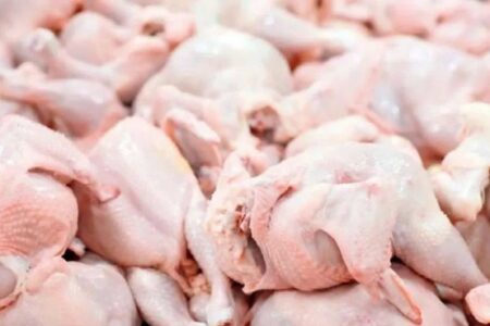 بیش از ۱۲ هزار تن گوشت سفید در واحدهای پرورش طیور استان هرمزگان تولید شد