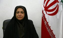 ترکیب نمایندگان رسانه های هرمزگان در مجمع رسانه ای کشور مشخص شد/اعتماد ۸۶ درصدی مدیران مسئول رسانه‌های هرمزگان به بانوی رسانه‌ای استان
